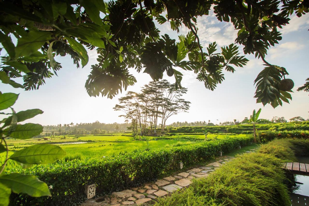 Griya Kcb Villa Ubud Mas  외부 사진