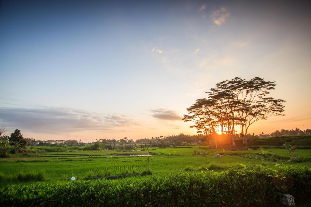 Griya Kcb Villa Ubud Mas  외부 사진