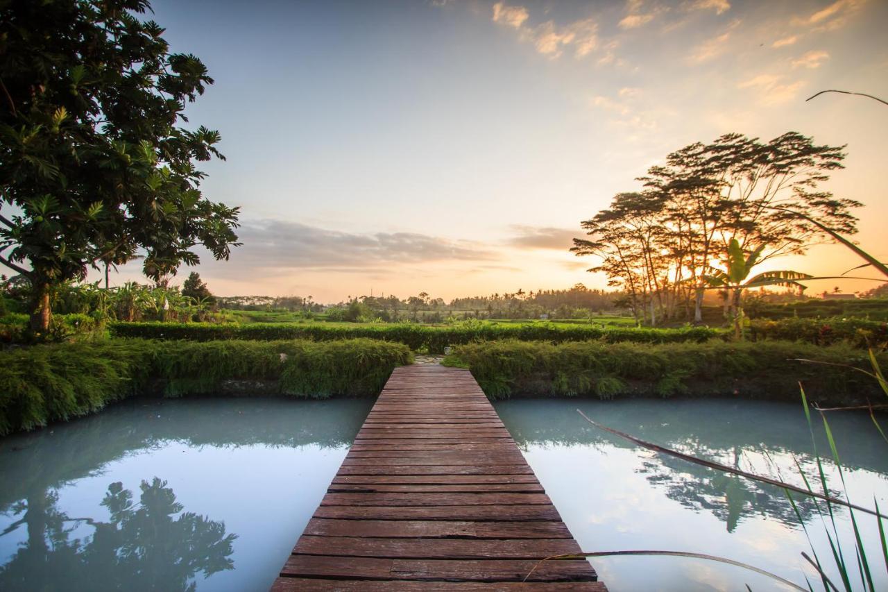 Griya Kcb Villa Ubud Mas  외부 사진